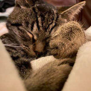 Meet your Posher, Heather